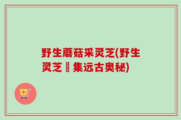 野生蘑菇采灵芝(野生灵芝採集远古奥秘)