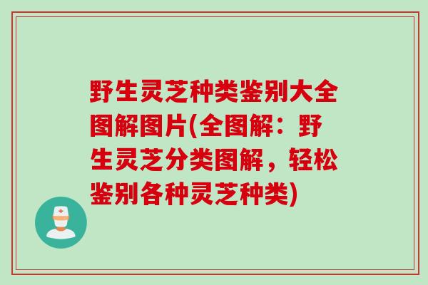 野生灵芝种类鉴别大全图解图片(全图解:野生灵芝分类图解,轻松鉴别各种灵芝种类) 野生灵芝种类鉴别大全图解图片(全图解:野生灵芝分类图解,轻松鉴别各种灵芝种类)