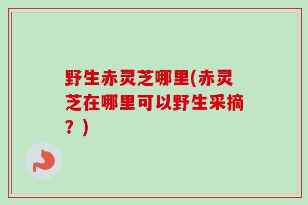 野生赤灵芝哪里(赤灵芝在哪里可以野生采摘？)