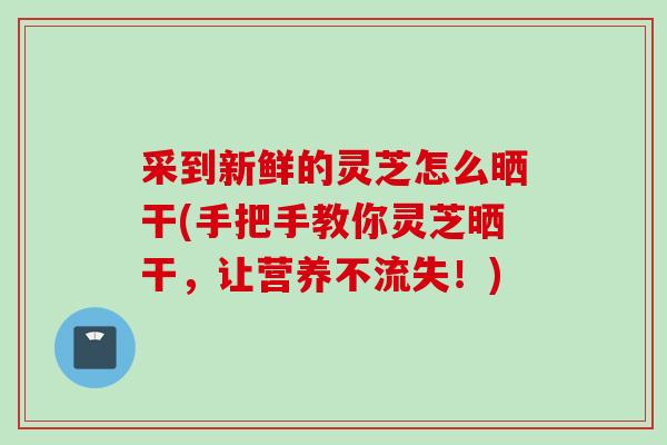 采到新鲜的灵芝怎么晒干(手把手教你灵芝晒干，让营养不流失！)