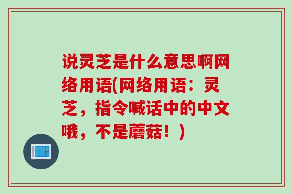 说灵芝是什么意思啊网络用语(网络用语：灵芝，指令喊话中的中文哦，不是蘑菇！)