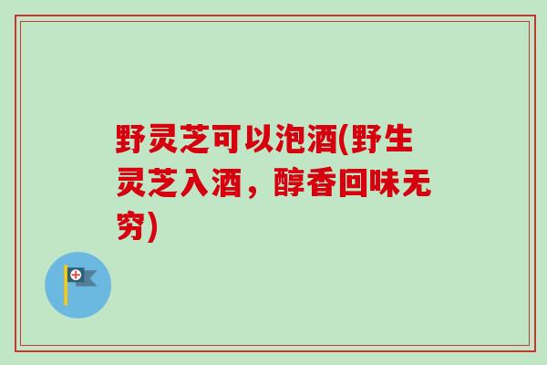 野灵芝可以泡酒(野生灵芝入酒,醇香回味无穷) 野灵芝可以泡酒(野生灵芝入酒,醇香回味无穷)