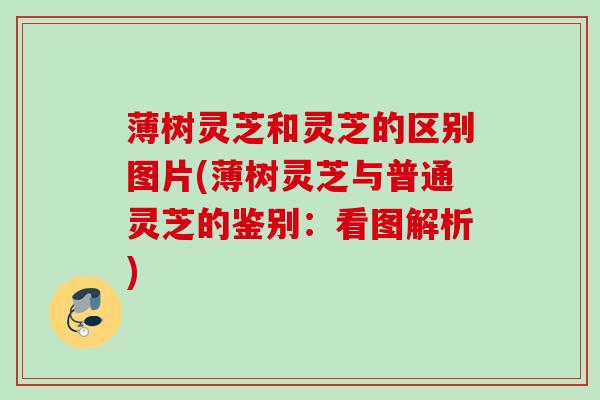 薄树灵芝和灵芝的区别图片(薄树灵芝与普通灵芝的鉴别:看图解析) 薄树灵芝和灵芝的区别图片(薄树灵芝与普通灵芝的鉴别:看图解析)