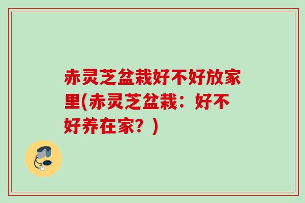 赤灵芝盆栽好不好放家里(赤灵芝盆栽：好不好养在家？)
