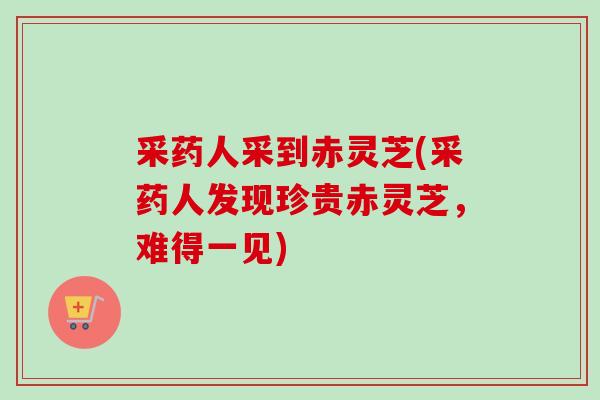 采药人采到赤灵芝(采药人发现珍贵赤灵芝,难得一见) 采药人采到赤灵芝(采药人发现珍贵赤灵芝,难得一见)
