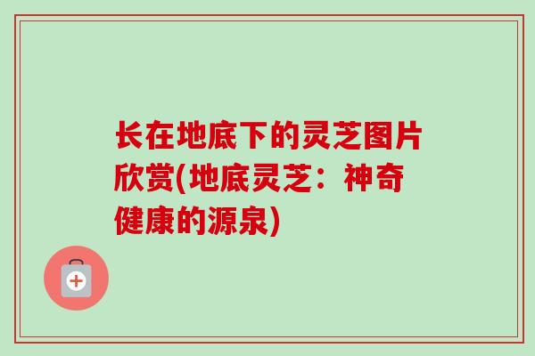 长在地底下的灵芝图片欣赏(地底灵芝：神奇健康的源泉)