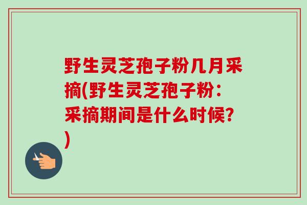 野生灵芝孢子粉几月采摘(野生灵芝孢子粉：采摘期间是什么时候？)