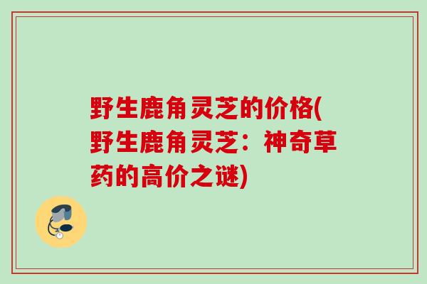 野生鹿角灵芝的价格(野生鹿角灵芝：神奇草药的高价之谜)