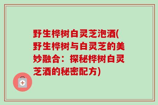 野生桦树白灵芝泡酒(野生桦树与白灵芝的美妙融合:探秘桦树白灵芝酒的秘密配方) 野生桦树白灵芝泡酒(野生桦树与白灵芝的美妙融合:探秘桦树白灵芝酒的秘密配方)