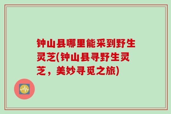 钟山县哪里能采到野生灵芝(钟山县寻野生灵芝，美妙寻觅之旅)