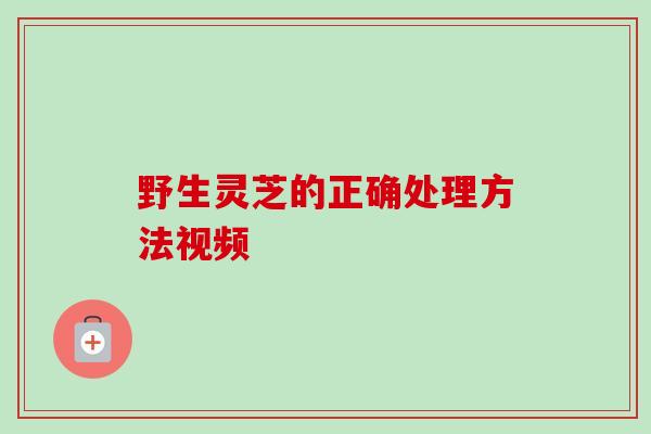 野生灵芝的正确处理方法视频
