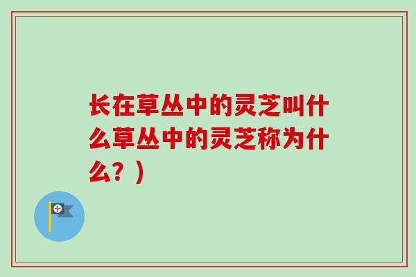 长在草丛中的灵芝叫什么草丛中的灵芝称为什么?) 长在草丛中的灵芝叫什么草丛中的灵芝称为什么?)