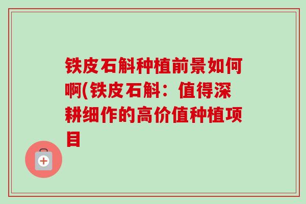 铁皮石斛种植前景如何啊(铁皮石斛：值得深耕细作的高价值种植项目