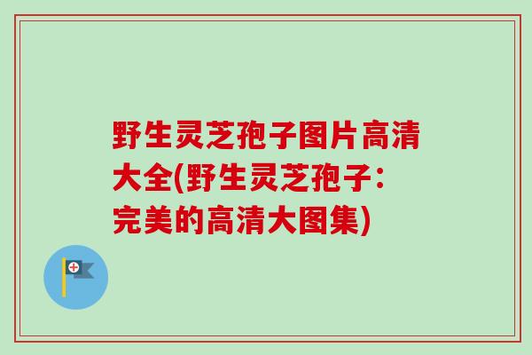 野生灵芝孢子图片高清大全(野生灵芝孢子：完美的高清大图集)