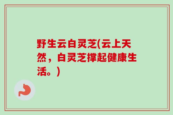野生云白灵芝(云上天然，白灵芝撑起健康生活。)