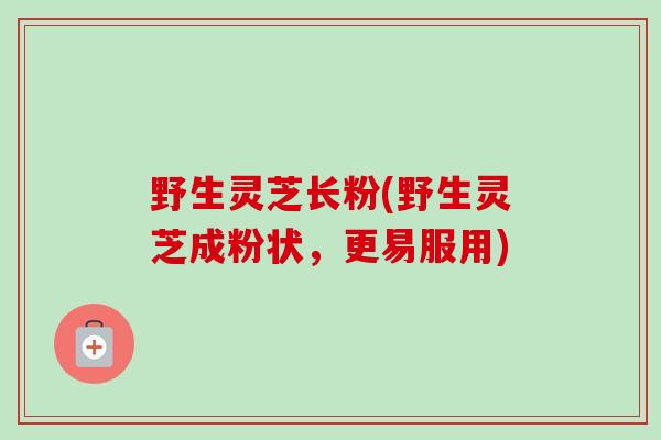 野生灵芝长粉(野生灵芝成粉状，更易服用)