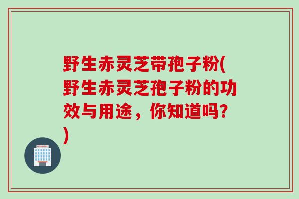 野生赤灵芝带孢子粉(野生赤灵芝孢子粉的功效与用途，你知道吗？)