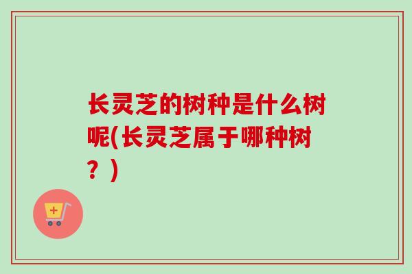 长灵芝的树种是什么树呢(长灵芝属于哪种树？)