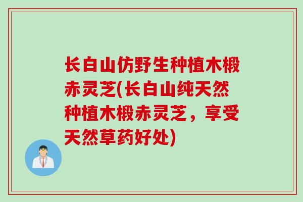 长白山仿野生种植木椴赤灵芝(长白山纯天然种植木椴赤灵芝，享受天然草药好处)