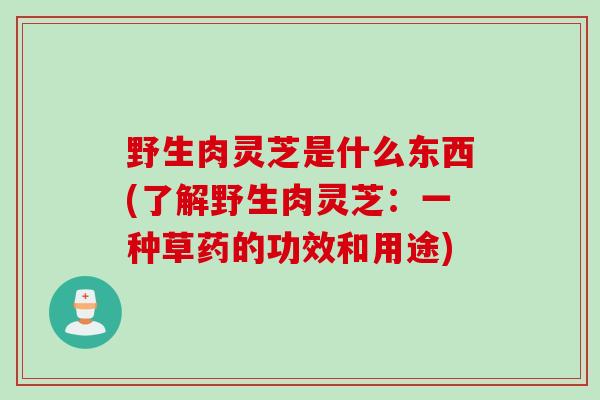 野生肉灵芝是什么东西(了解野生肉灵芝:一种草药的功效和用途) 野生肉灵芝是什么东西(了解野生肉灵芝:一种草药的功效和用途)