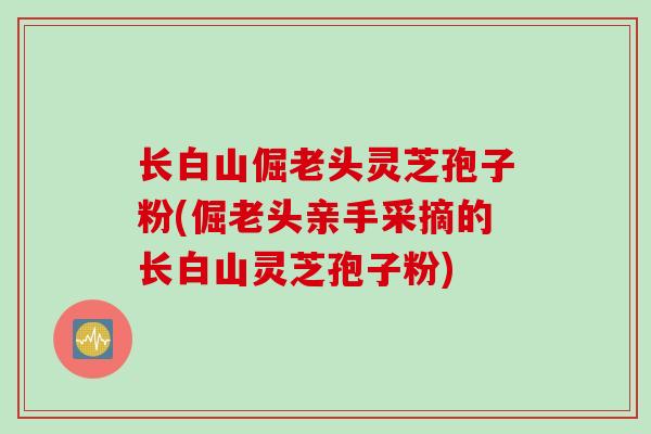 长白山倔老头灵芝孢子粉(倔老头亲手采摘的长白山灵芝孢子粉)