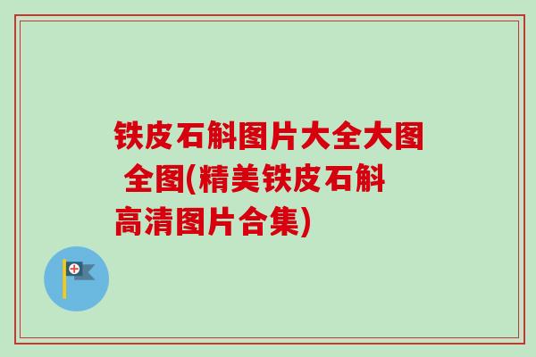 铁皮石斛图片大全大图 全图(精美铁皮石斛高清图片合集)