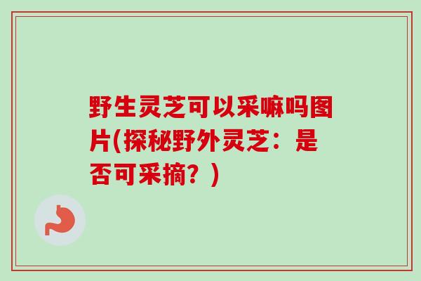 野生灵芝可以采嘛吗图片(探秘野外灵芝：是否可采摘？)