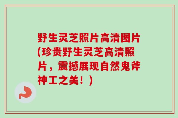 野生灵芝照片高清图片(珍贵野生灵芝高清照片，震撼展现自然鬼斧神工之美！)