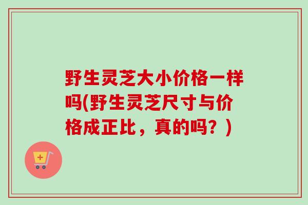 野生灵芝大小价格一样吗(野生灵芝尺寸与价格成正比,真的吗?) 野生灵芝大小价格一样吗(野生灵芝尺寸与价格成正比,真的吗?)