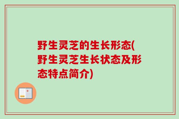 野生灵芝的生长形态(野生灵芝生长状态及形态特点简介)