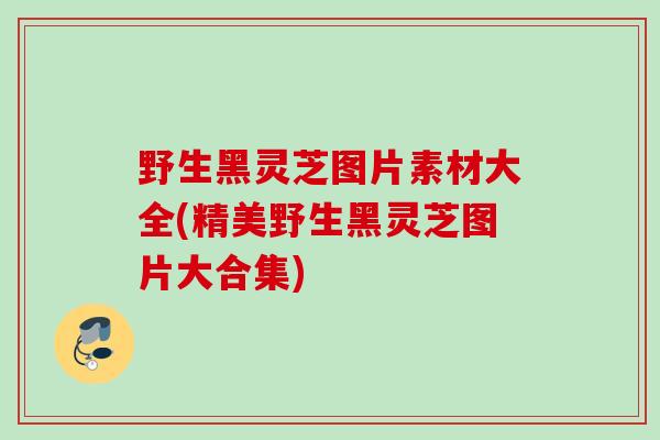 野生黑灵芝图片素材大全(精美野生黑灵芝图片大合集)
