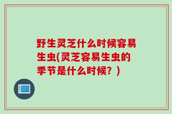 野生灵芝什么时候容易生虫(灵芝容易生虫的季节是什么时候？)