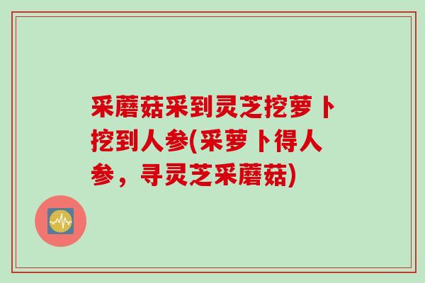 采蘑菇采到灵芝挖萝卜挖到人参(采萝卜得人参，寻灵芝采蘑菇)
