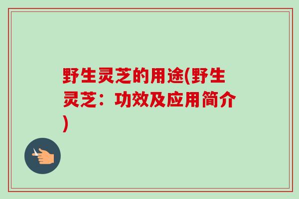 野生灵芝的用途(野生灵芝：功效及应用简介)