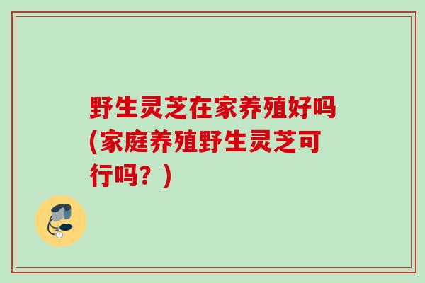 野生灵芝在家养殖好吗(家庭养殖野生灵芝可行吗?) 野生灵芝在家养殖好吗(家庭养殖野生灵芝可行吗?)