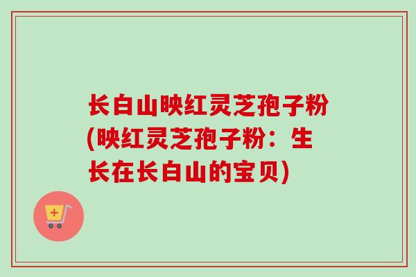 长白山映红灵芝孢子粉(映红灵芝孢子粉：生长在长白山的宝贝)