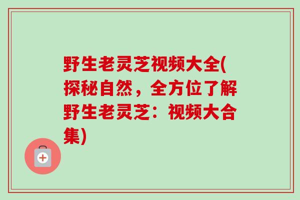 野生老灵芝视频大全(探秘自然,全方位了解野生老灵芝:视频大合集) 野生老灵芝视频大全(探秘自然,全方位了解野生老灵芝:视频大合集)