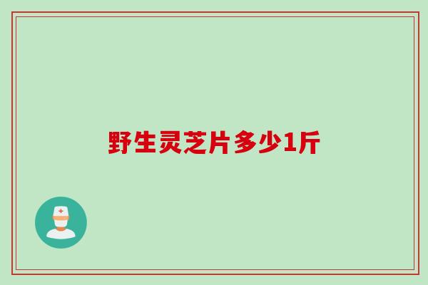 野生灵芝片多少1斤 野生灵芝片多少1斤