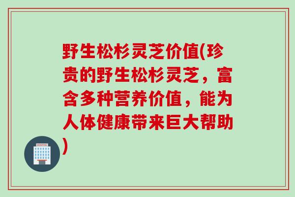 野生松杉灵芝价值(珍贵的野生松杉灵芝，富含多种营养价值，能为人体健康带来巨大帮助)