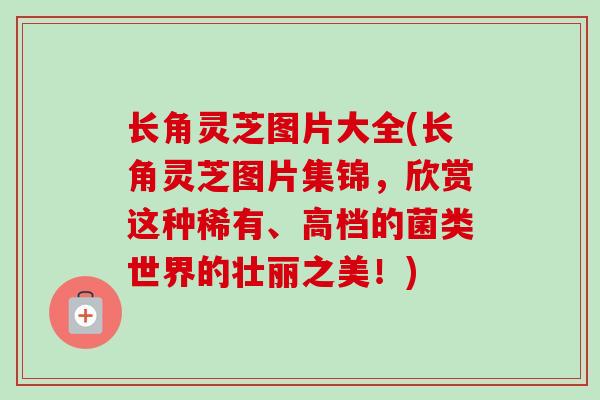 长角灵芝图片大全(长角灵芝图片集锦，欣赏这种稀有、高档的菌类世界的壮丽之美！)