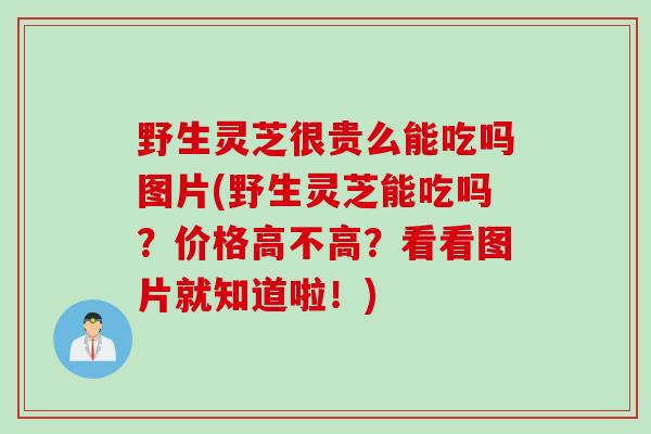 野生灵芝很贵么能吃吗图片(野生灵芝能吃吗？价格高不高？看看图片就知道啦！)