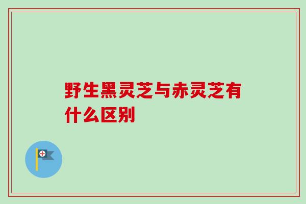 野生黑灵芝与赤灵芝有什么区别 野生黑灵芝与赤灵芝有什么区别