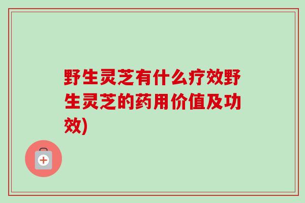 野生灵芝有什么疗效野生灵芝的药用价值及功效)