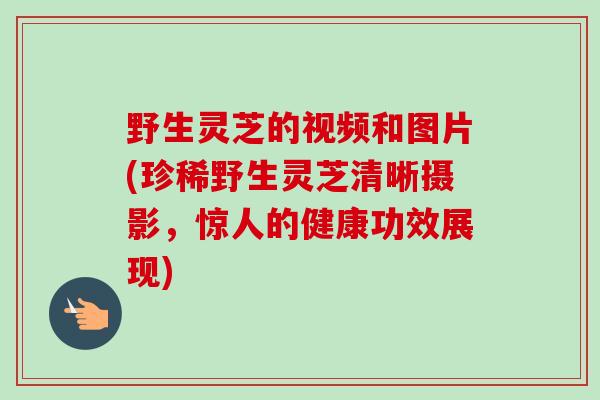 野生灵芝的视频和图片(珍稀野生灵芝清晰摄影,惊人的健康功效展现) 野生灵芝的视频和图片(珍稀野生灵芝清晰摄影,惊人的健康功效展现)