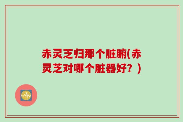 赤灵芝归那个脏腑(赤灵芝对哪个脏器好？)