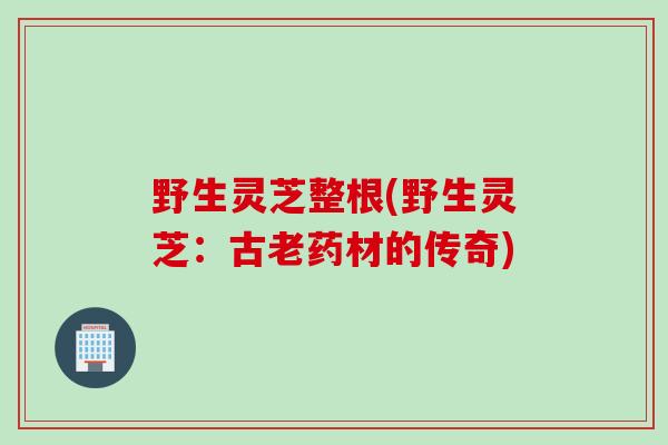 野生灵芝整根(野生灵芝：古老药材的传奇)