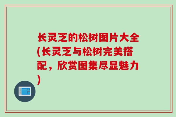 长灵芝的松树图片大全(长灵芝与松树完美搭配，欣赏图集尽显魅力)