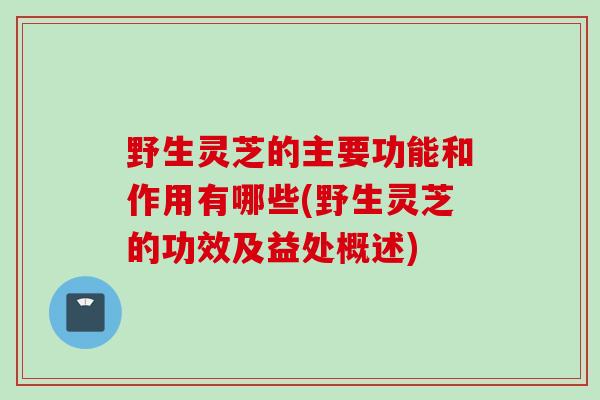 野生灵芝的主要功能和作用有哪些(野生灵芝的功效及益处概述)
