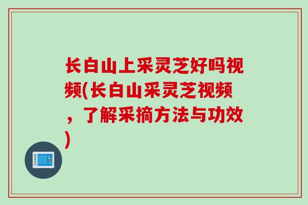 长白山上采灵芝好吗视频(长白山采灵芝视频,了解采摘方法与功效) 长白山上采灵芝好吗视频(长白山采灵芝视频,了解采摘方法与功效)