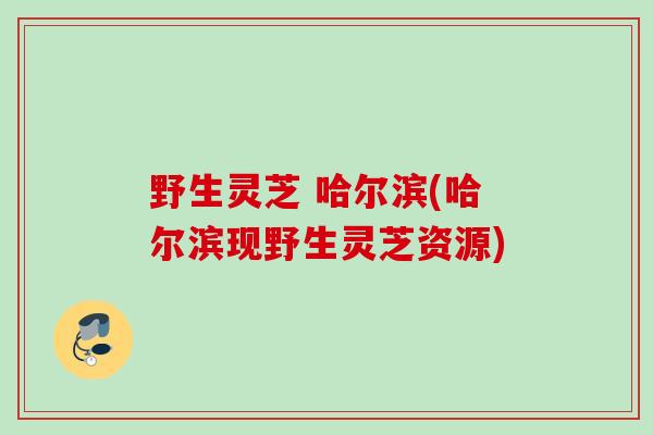野生灵芝 哈尔滨(哈尔滨现野生灵芝资源)